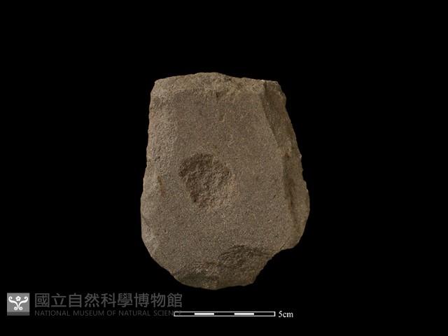 磨製斧鋤形器藏品圖，第2張