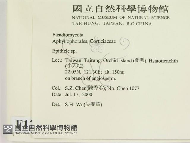 登錄號:F0012030藏品圖，第2張