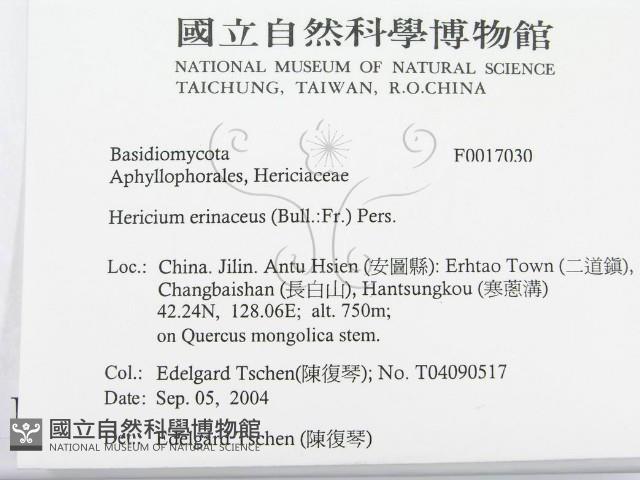 登錄號:F0017030藏品圖，第2張