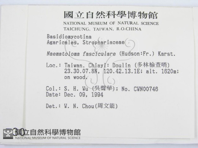 登錄號:F0003030藏品圖，第2張