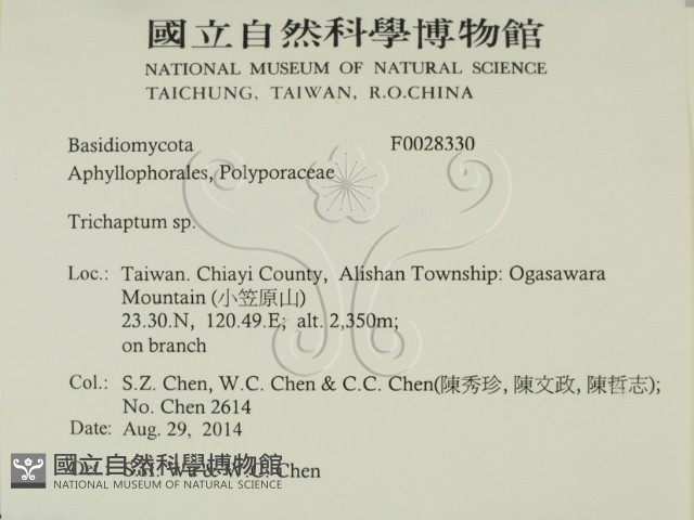 附毛菌屬藏品圖，第2張