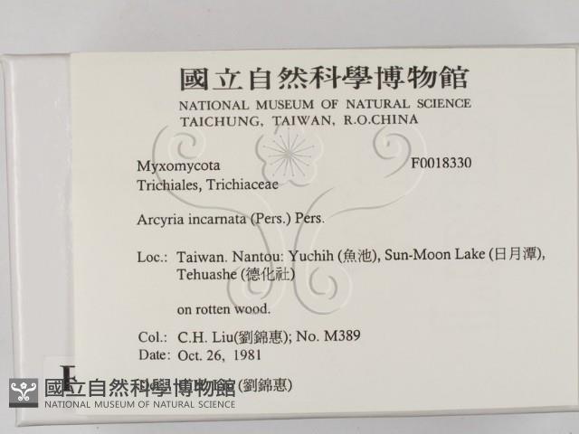 登錄號:F0018330藏品圖，第2張