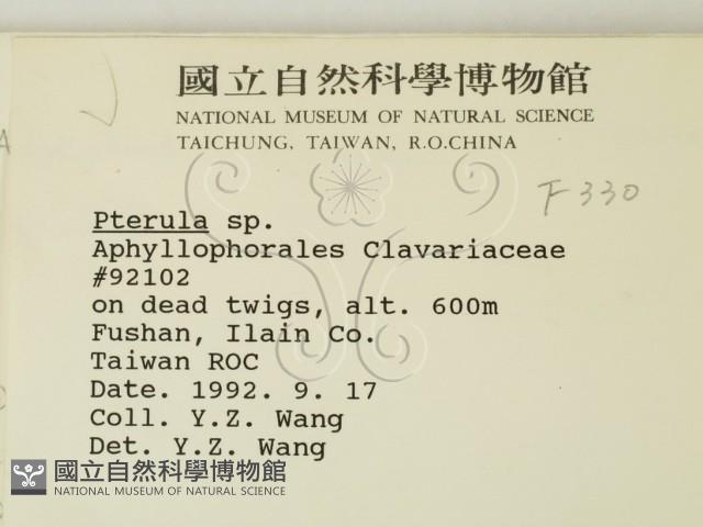 登錄號:F0000330藏品圖，第2張