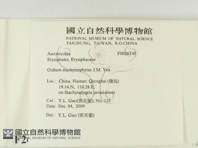 登錄號:F0026330藏品圖，第2張