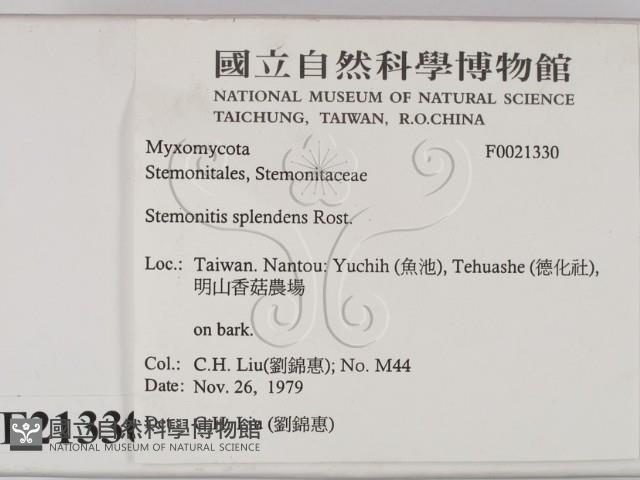 登錄號:F0021330藏品圖，第2張