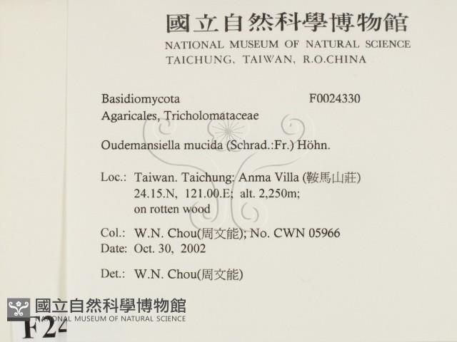 登錄號:F0024330藏品圖，第2張