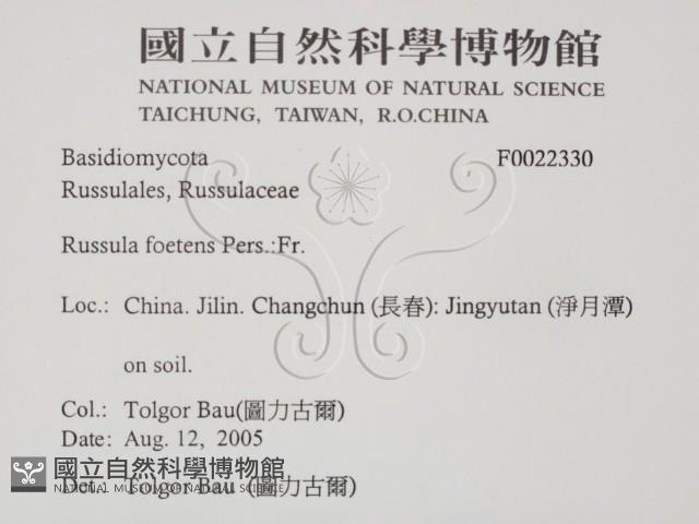 登錄號:F0022330藏品圖，第2張