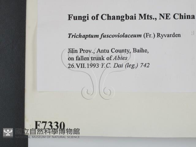 登錄號:F0007330藏品圖，第2張