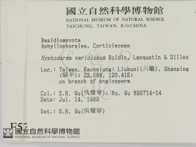 登錄號:F0005330藏品圖，第2張