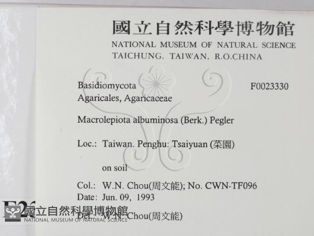 登錄號:F0023330藏品圖，第2張