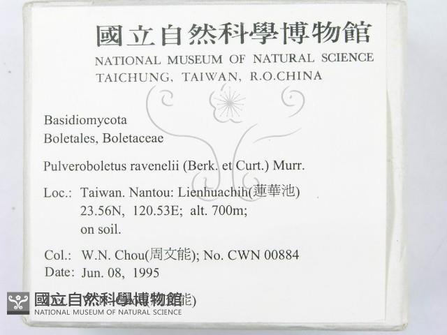 登錄號:F0003330藏品圖，第2張