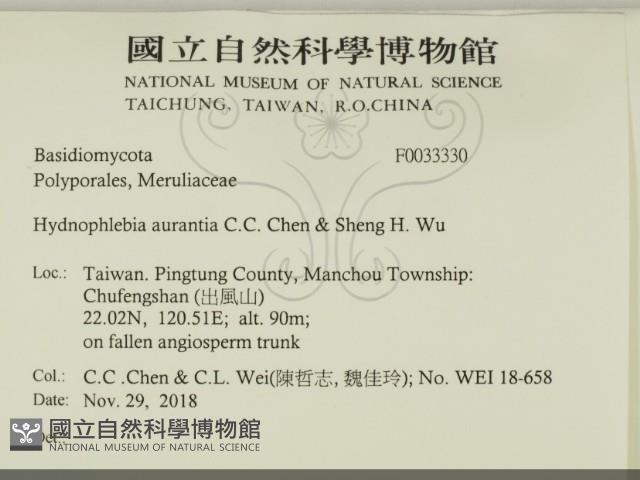 登錄號:F0033330藏品圖，第2張