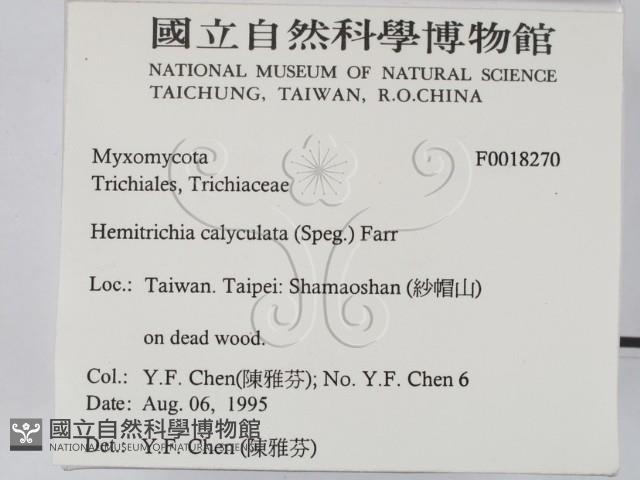 館號:F0018270藏品圖，第2張