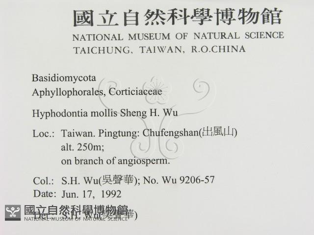 登錄號:F0000270藏品圖，第2張