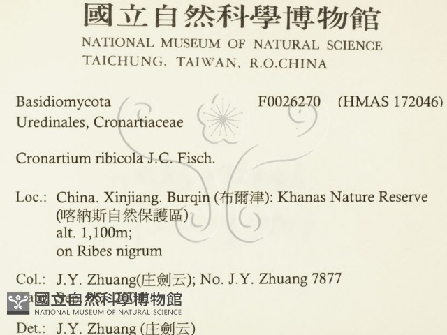 登錄號:F0026270藏品圖，第2張