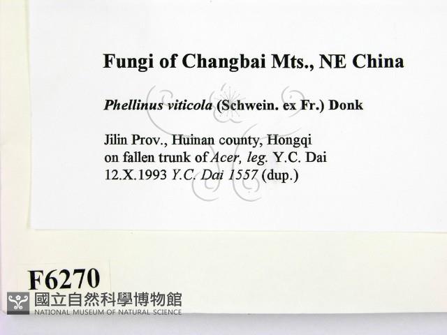 登錄號:F0006270藏品圖，第2張