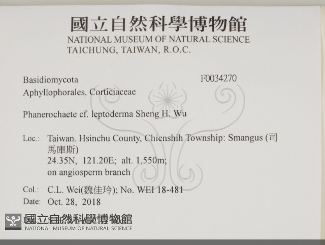 登錄號:F0034270藏品圖，第2張