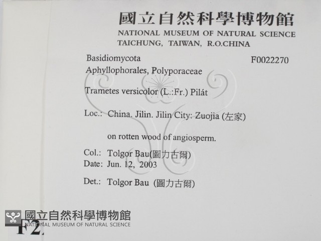 雲芝藏品圖，第2張