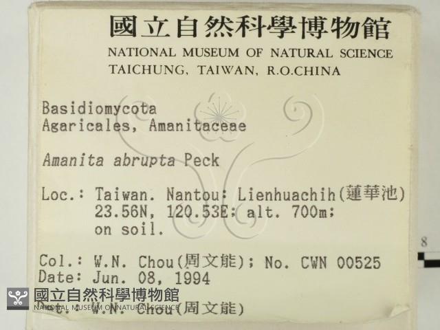 登錄號:F0002270藏品圖，第2張