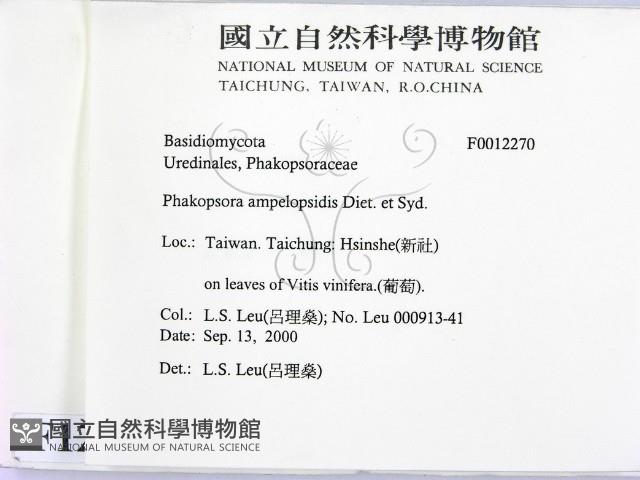 登錄號:F0012270藏品圖，第2張
