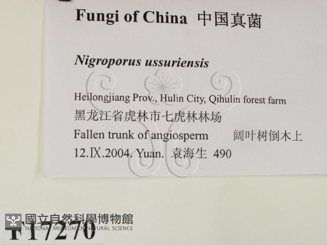 登錄號:F0017270藏品圖，第2張