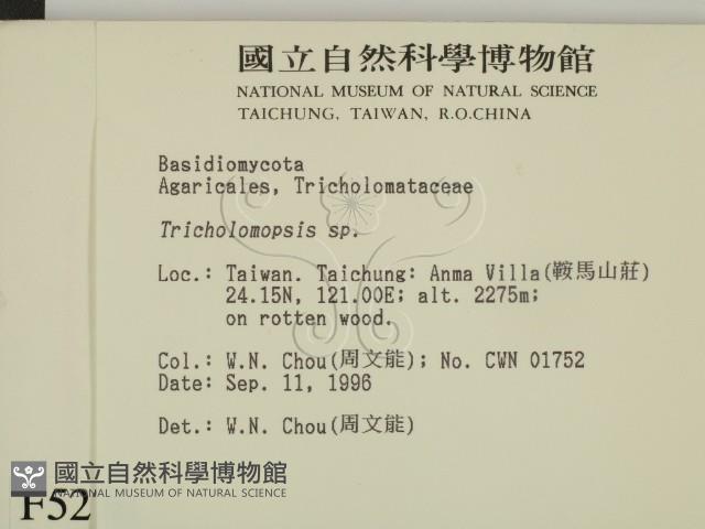 登錄號:F0005270藏品圖，第2張