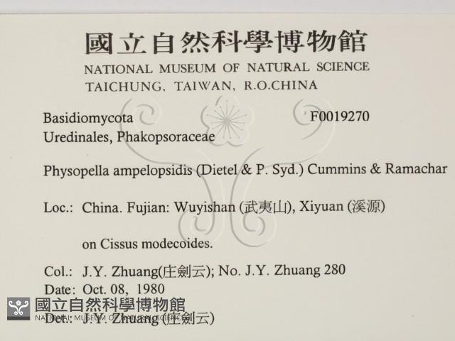 登錄號:F0019270藏品圖，第2張