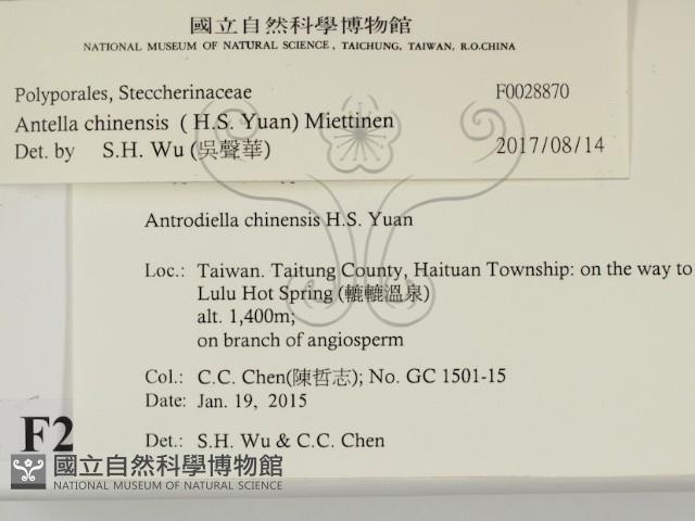 登錄號:F0028870藏品圖，第2張