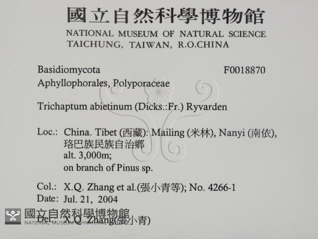 登錄號:F0018870藏品圖，第2張