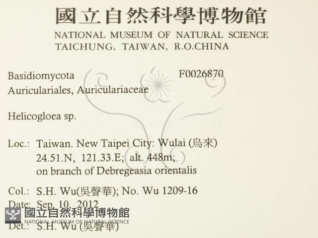 登錄號:F0026870藏品圖，第2張