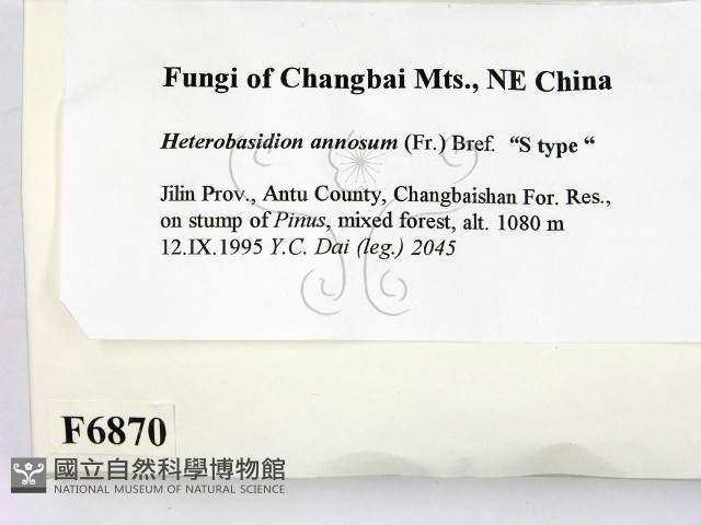 登錄號:F0006870藏品圖，第2張