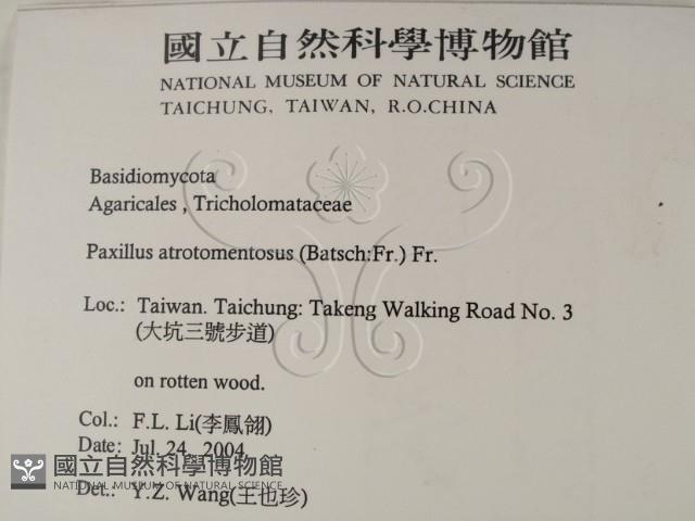 登錄號:F0016870藏品圖，第2張