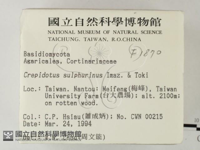 登錄號:F0001870藏品圖，第2張