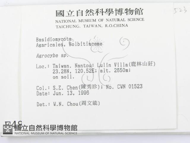 登錄號:F0004870藏品圖，第2張