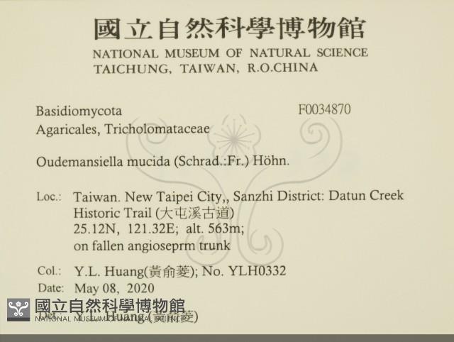 登錄號:F0034870藏品圖，第2張