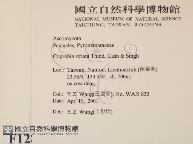 登錄號:F0012870藏品圖，第2張