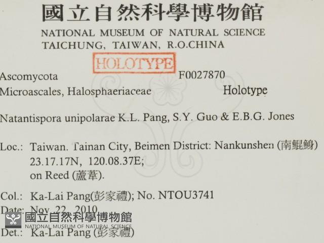 登錄號:F0027870藏品圖，第2張