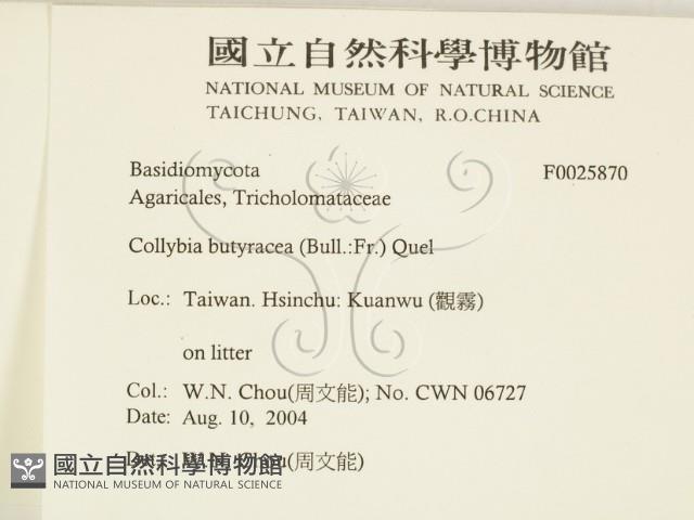 登錄號:F0025870藏品圖，第2張