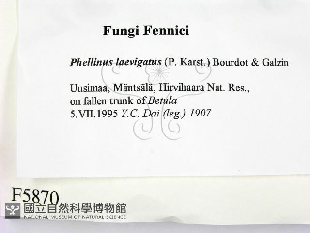 登錄號:F0005870藏品圖，第2張