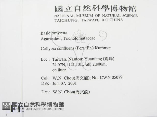 登錄號:F0015870藏品圖，第2張