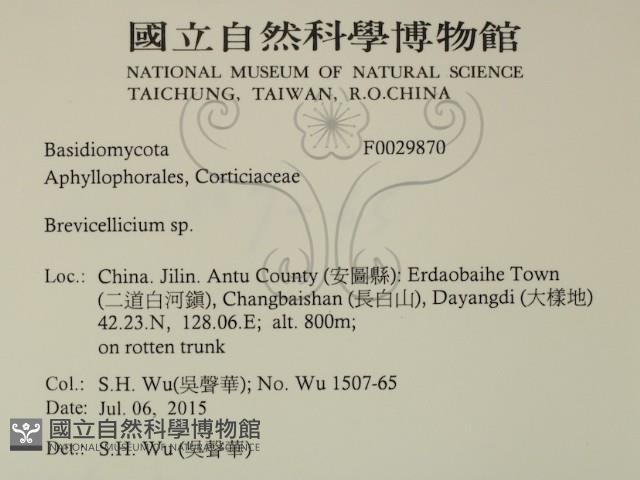 登錄號:F0029870藏品圖，第2張