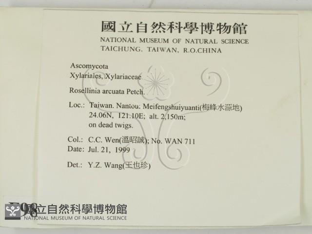 Accession Number:F0009870 Collection Image, Figure 2, Total 6 Figures