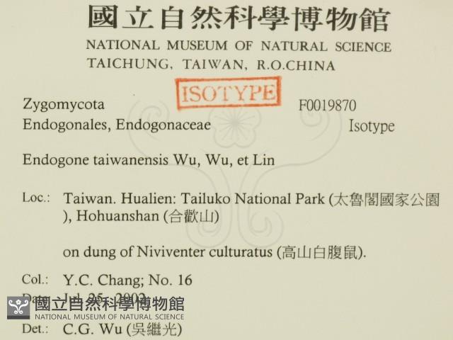 登錄號:F0019870藏品圖，第2張