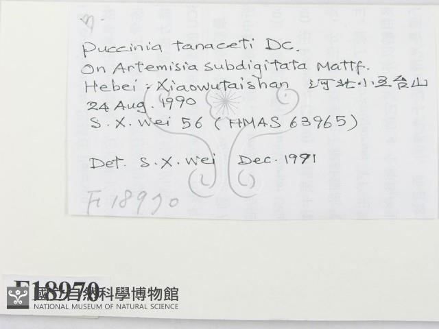 登錄號:F0018970藏品圖，第2張
