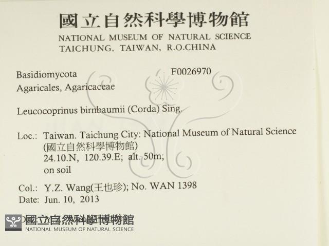 登錄號:F0026970藏品圖，第2張