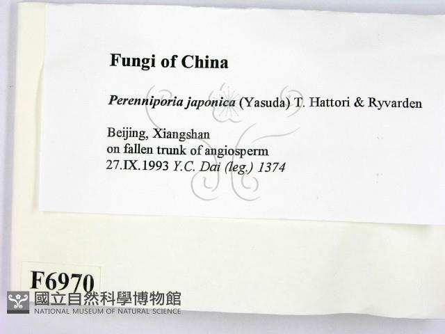 登錄號:F0006970藏品圖，第2張