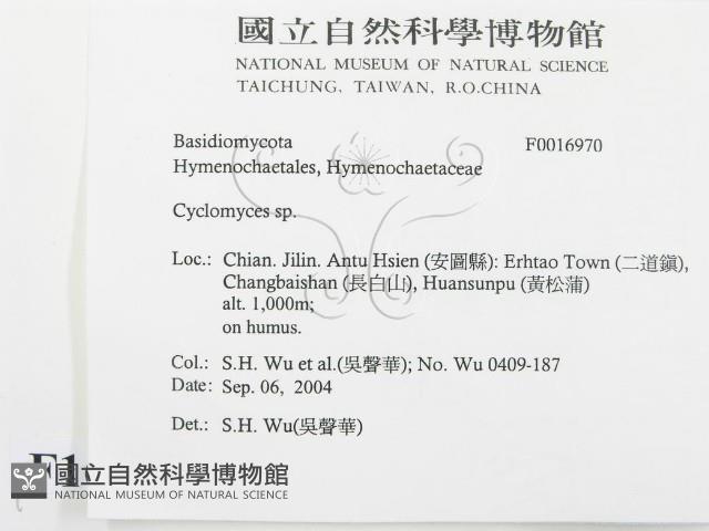 登錄號:F0016970藏品圖，第2張