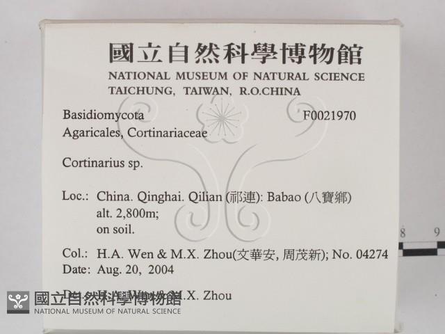 登錄號:F0021970藏品圖，第2張