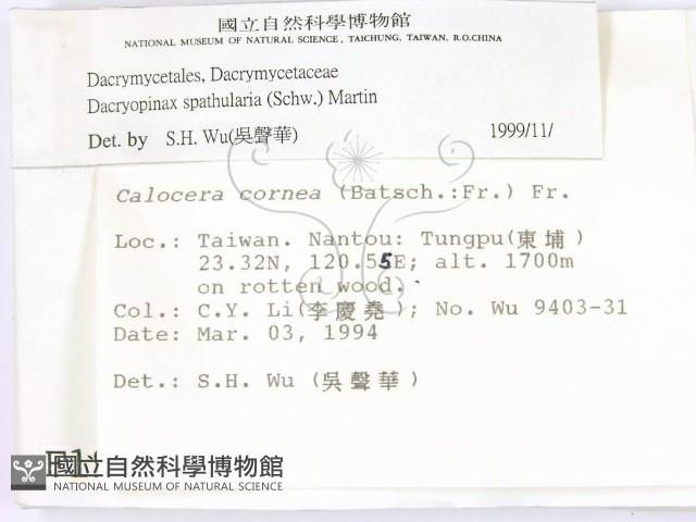 登錄號:F0001970藏品圖，第2張