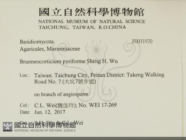 登錄號:F0031970藏品圖，第2張